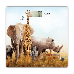 Electronic floor scales MG-302